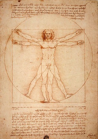 L'homme de Vitruve, Léonard de Vinci 1490 