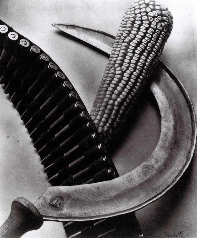 Cartouchière, faucille et épis de maïs, Tina Modotti, 1927 