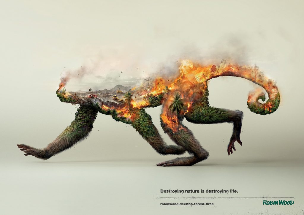 Campagne de sensibilisation à la protection de la nature, association Robin Wood 